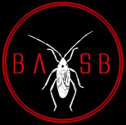 logo Brandon Ashley And The Silverbugs